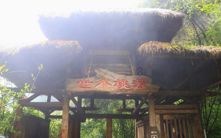 鬼泣5